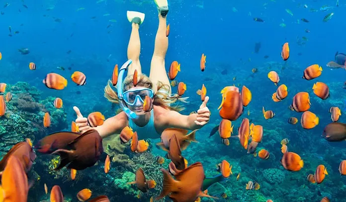 🤿 NUSA PENIDA WEST SIDE + SNORKELING TOUR