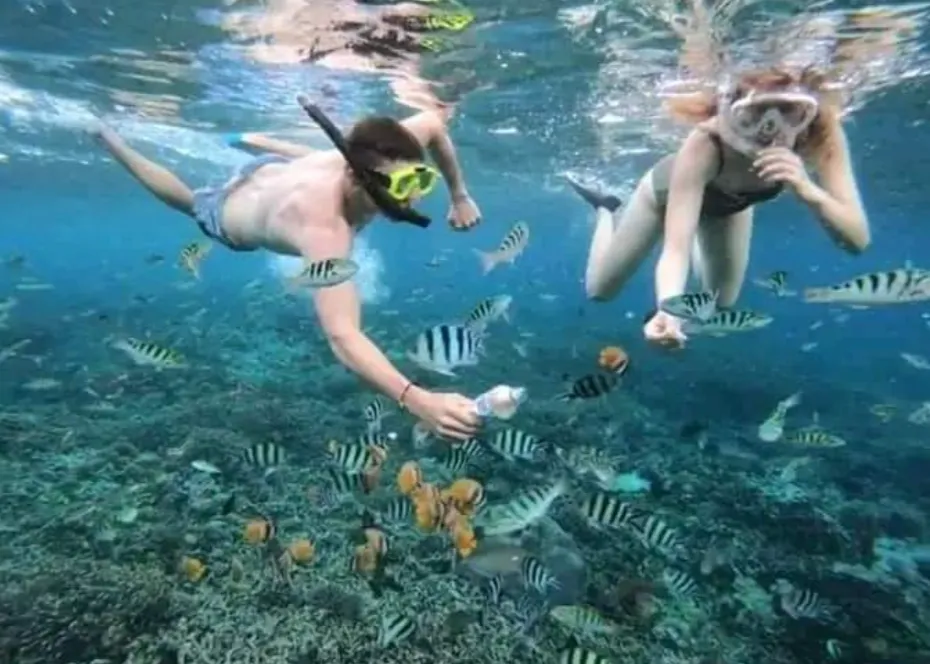 🐠 SNORKELING BLUE LAGOON – TANJUNG JEPUN 🌊