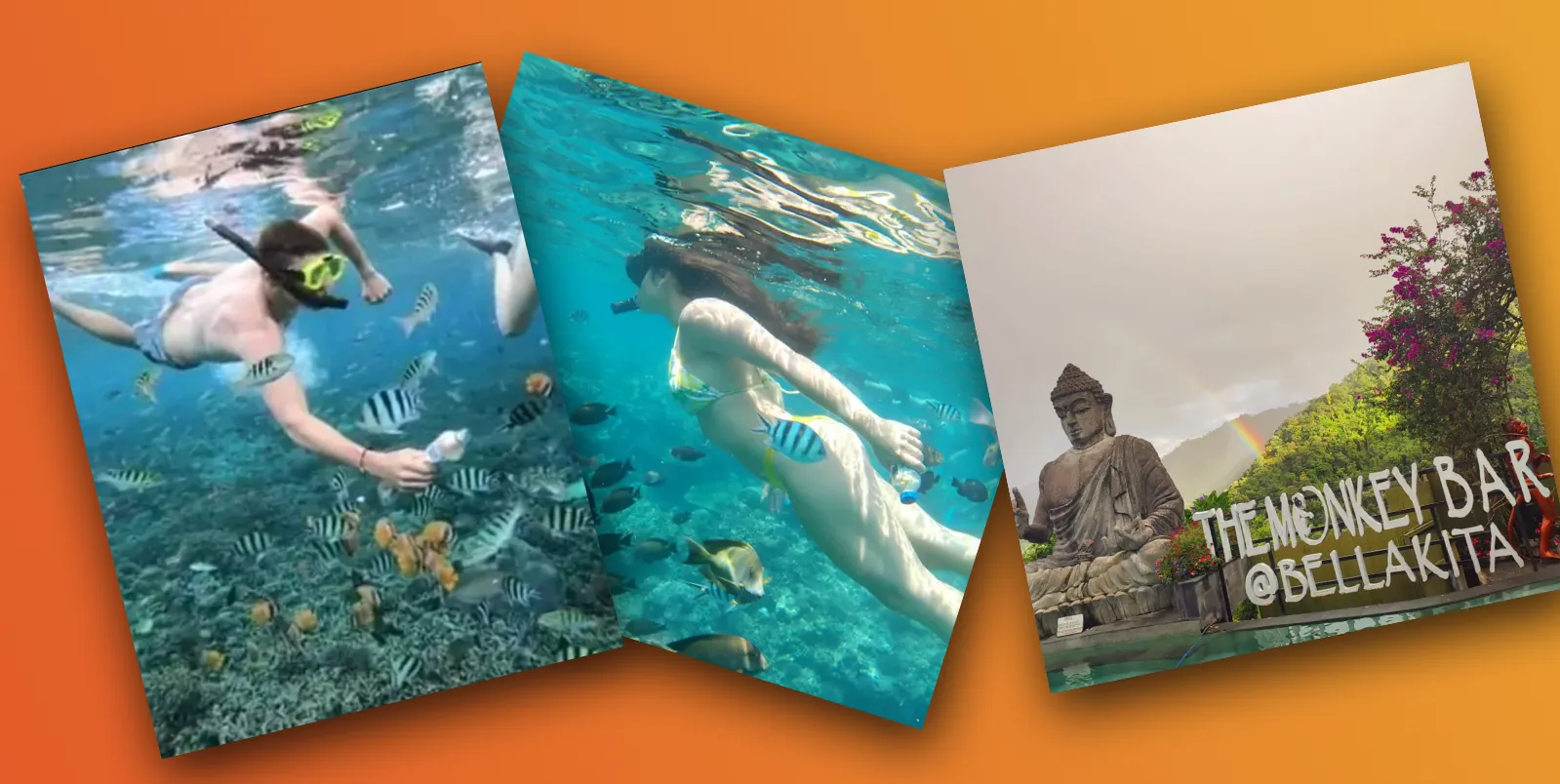 🏝️ Snorkeling + Monkey Bar Pool Package 🐠🍹